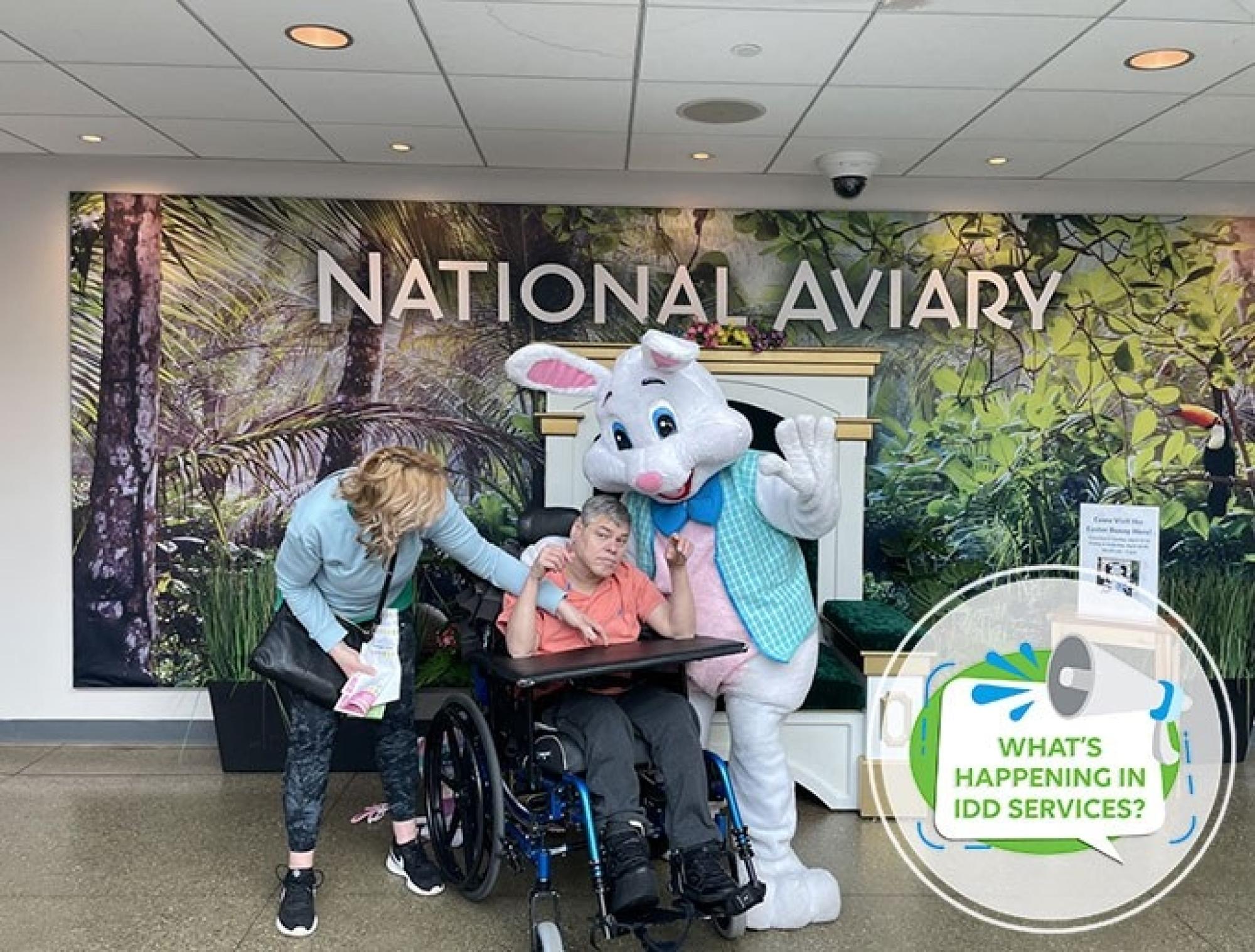 What’s Happening in IDD Services?