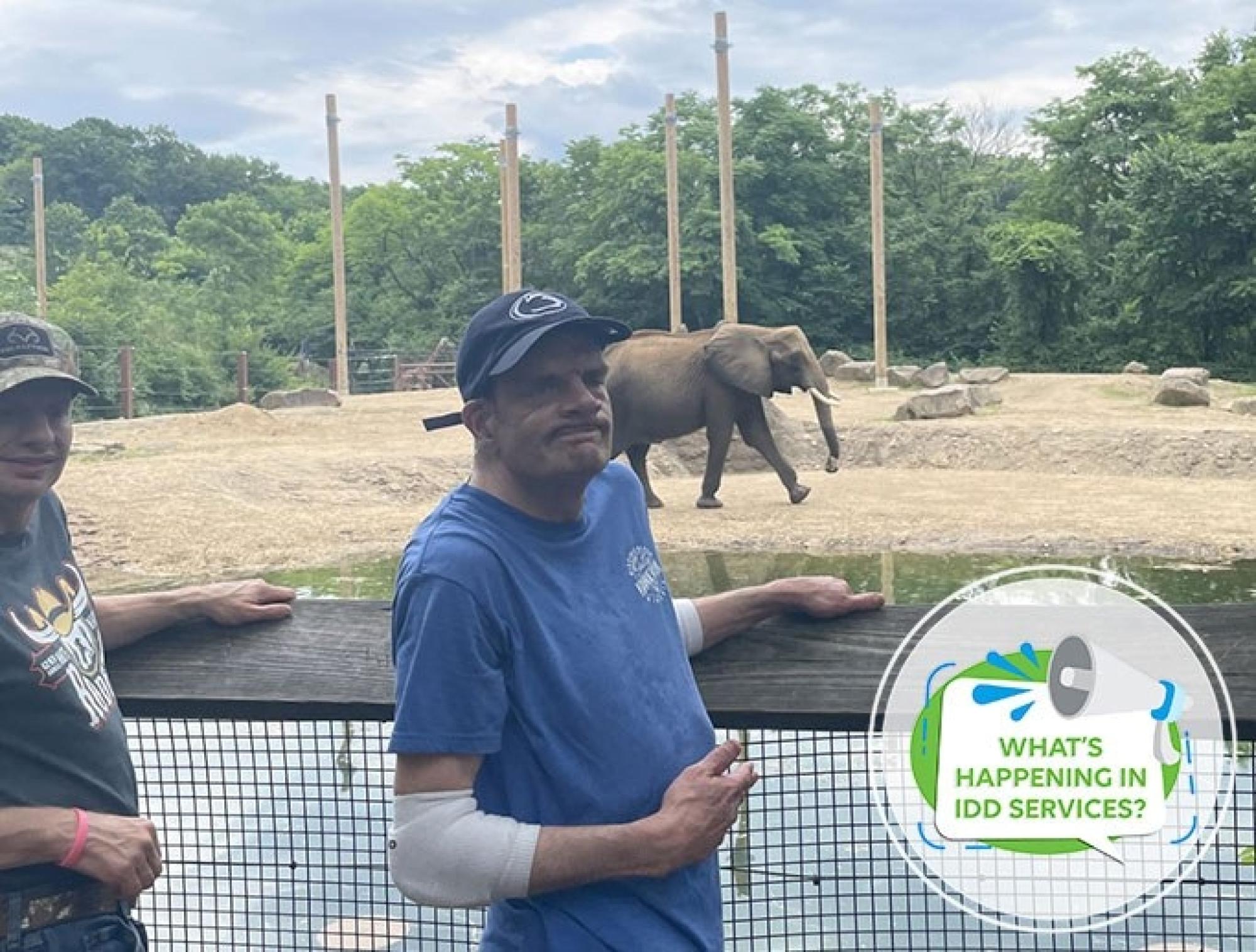 What’s Happening in IDD Services?