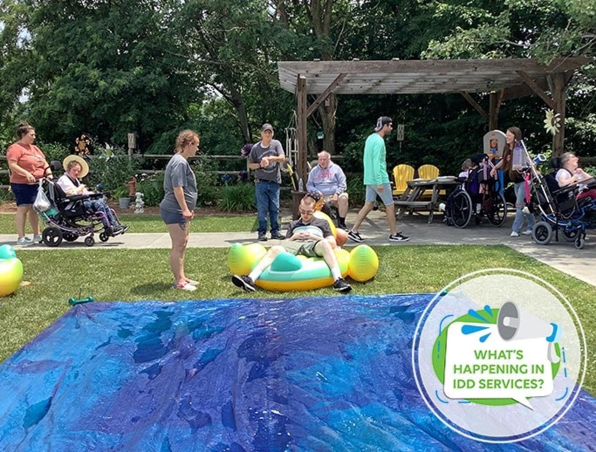 What’s Happening in IDD Services?