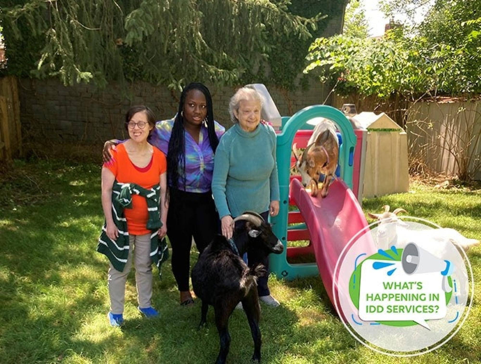 What’s Happening in IDD Services?