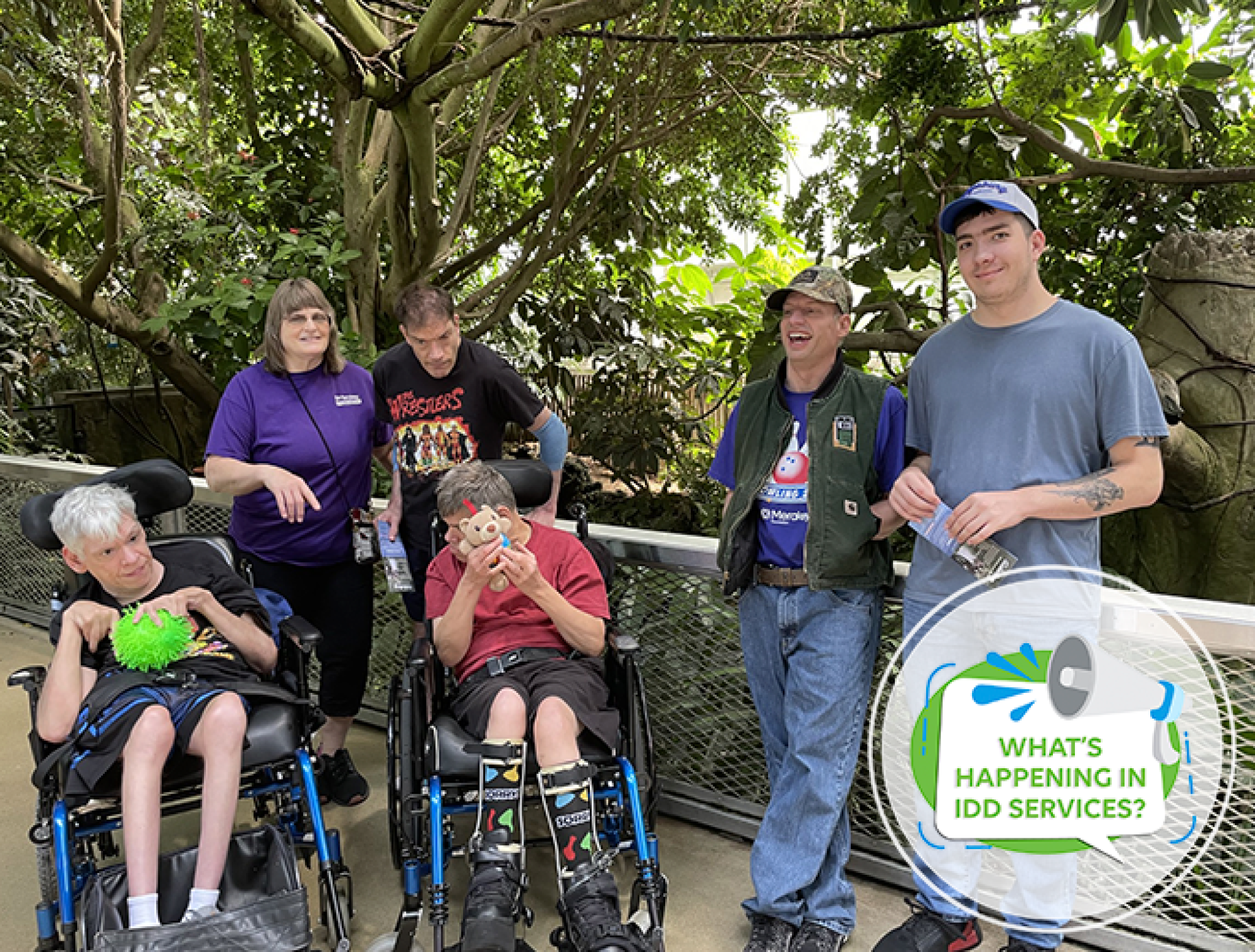 What’s Happening in IDD Services?