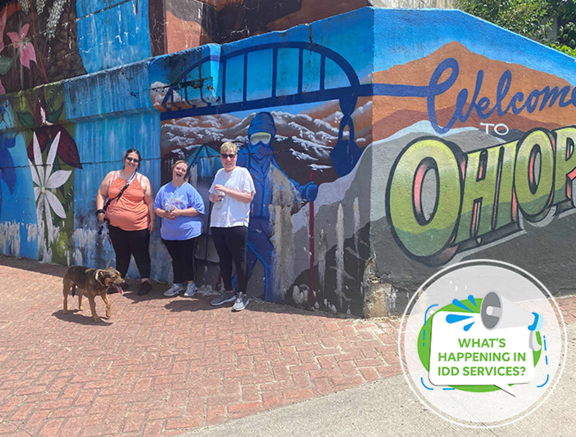 What's Happening in IDD Services?