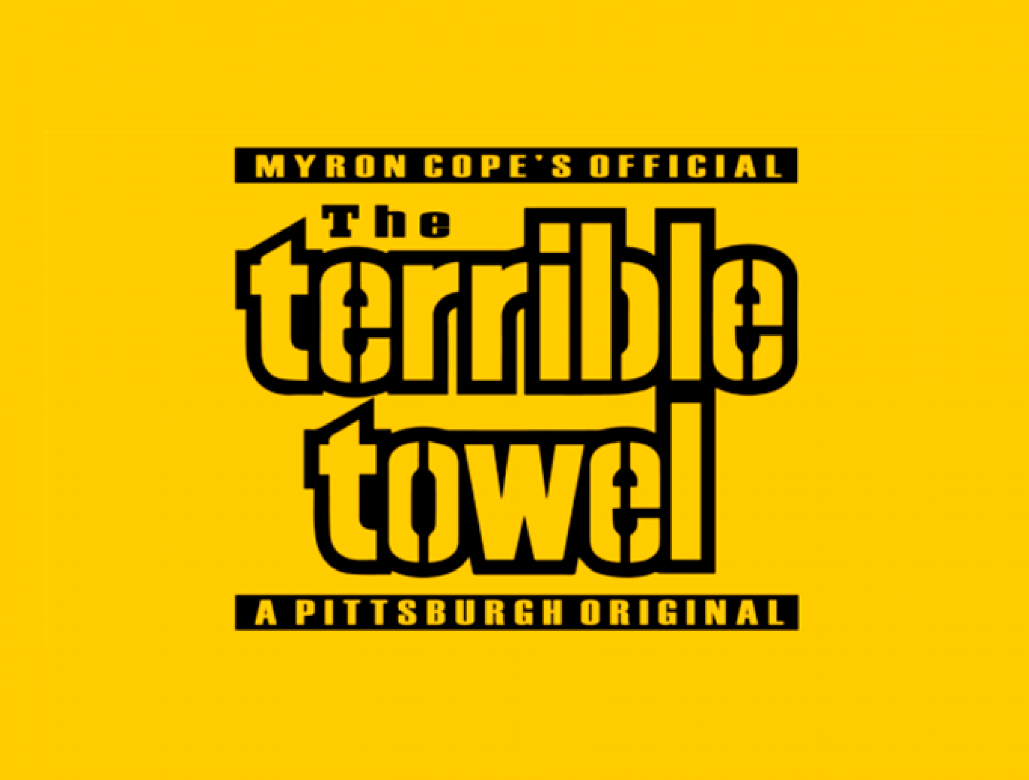 Merakey AVS Featured in Terrible Towel® News Segment