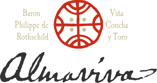 Logo Almaviva