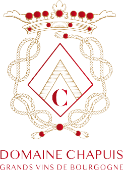 Logo Domaine Chapuis