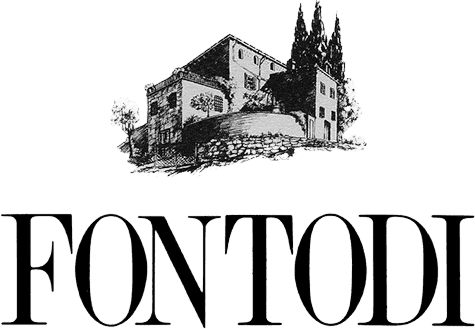 Logo Fontodi