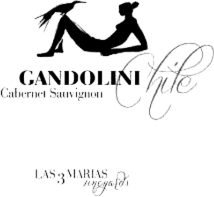 Logo Gandolini