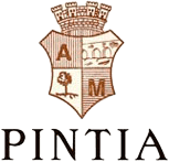 Logo Pintia