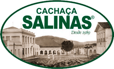 Logo Salinas