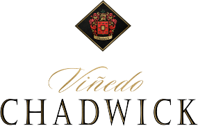 Logo Viñedo Chadwick