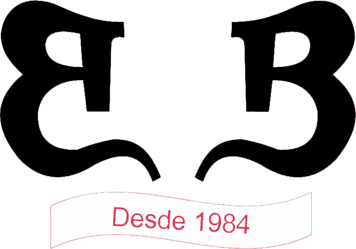 Logo BB Bertoldi