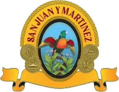 Logo San Juan y Martinez