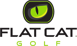 Logo Flat Cat Solution