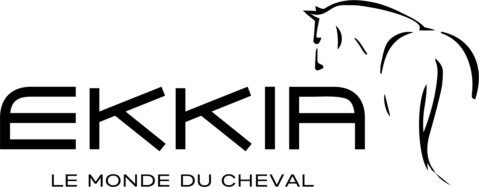 Logo Ekkia