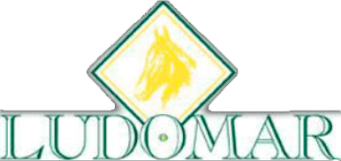 Logo Ludomar
