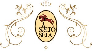 Logo Salto & Sela