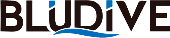 Logo Bludive