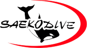 Logo Saeko
