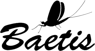 Logo Baetis