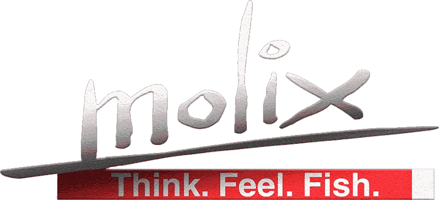 Logo Molix