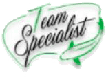 Logo Team Specialist