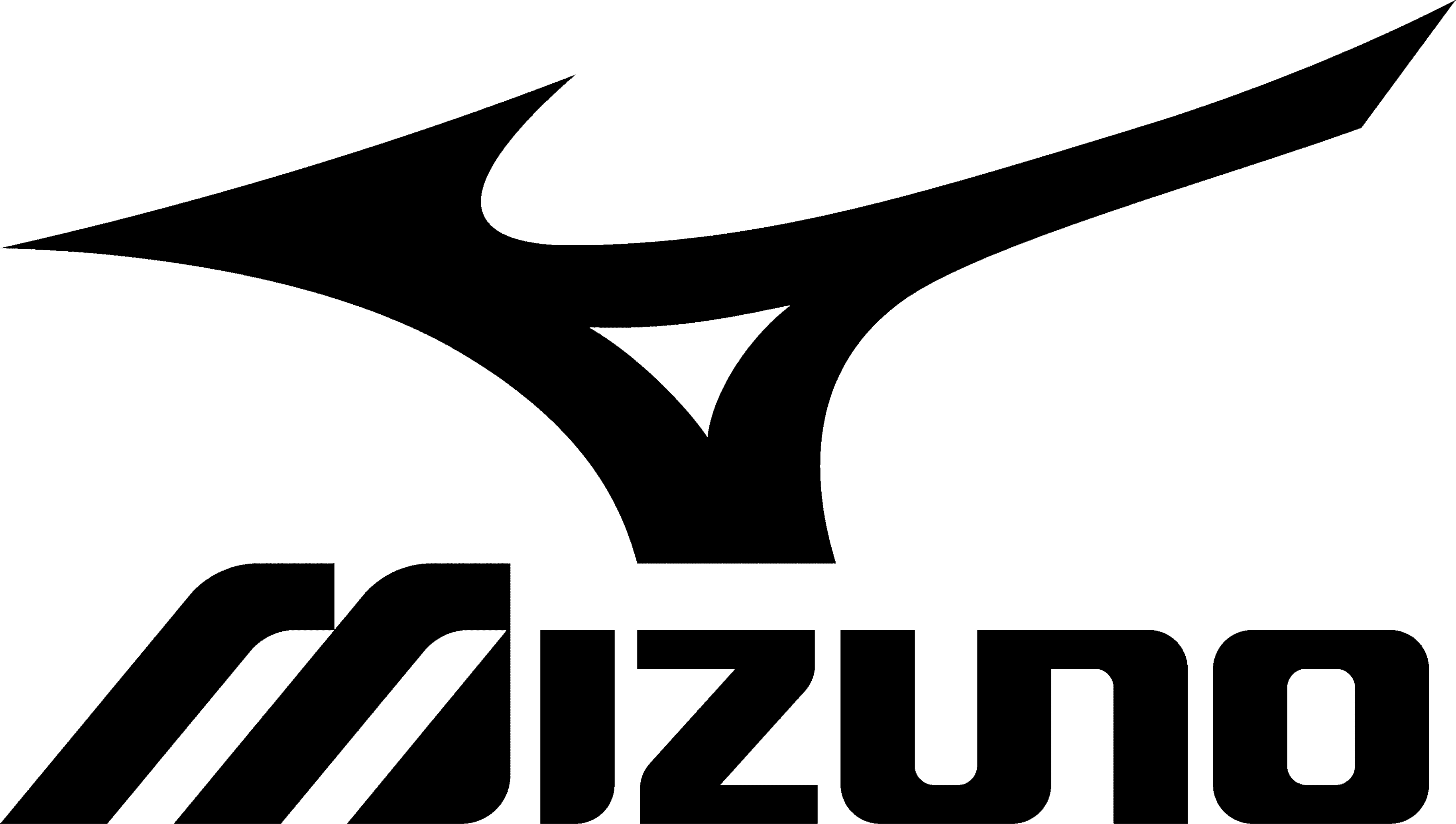 Logo Mizuno