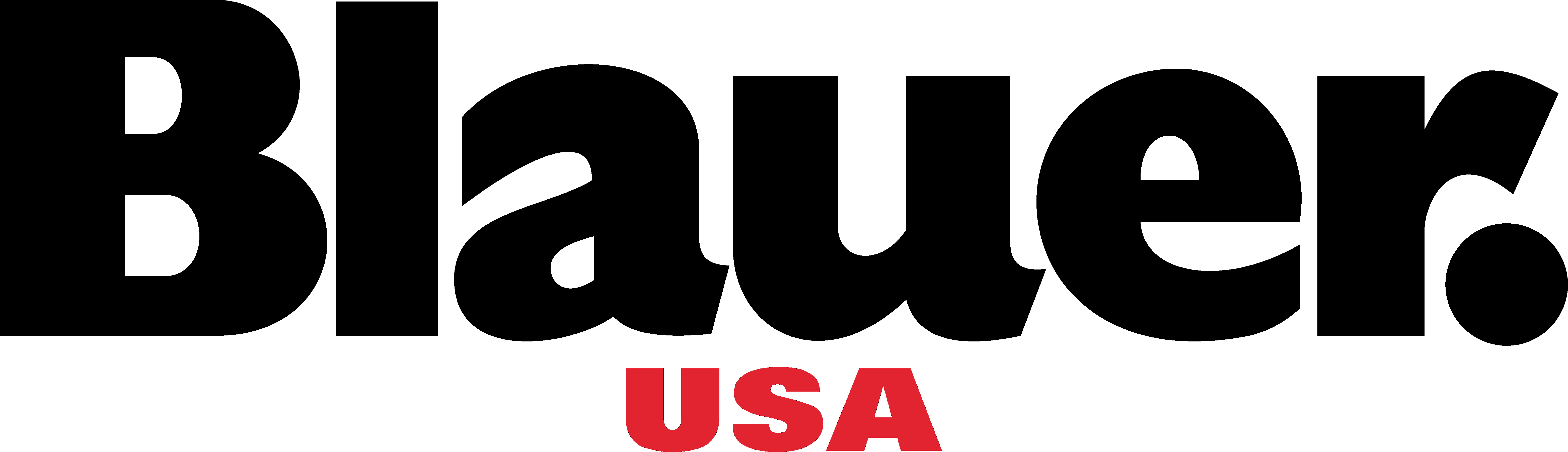 Logo Blauer