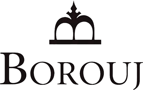 Logo Borouj