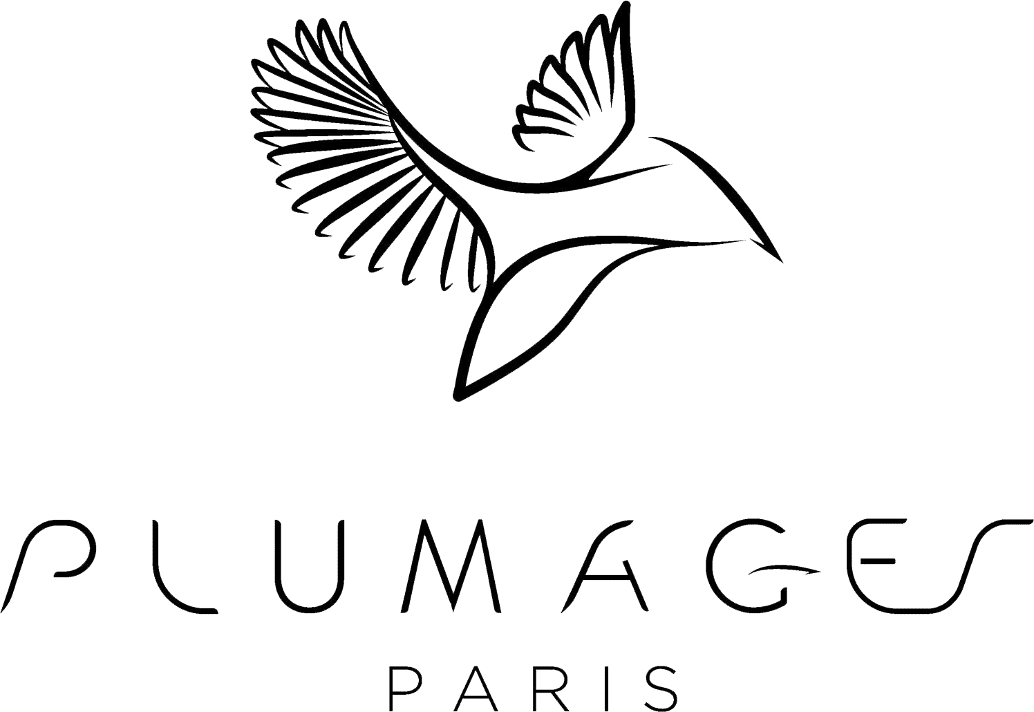 Logo Plumages