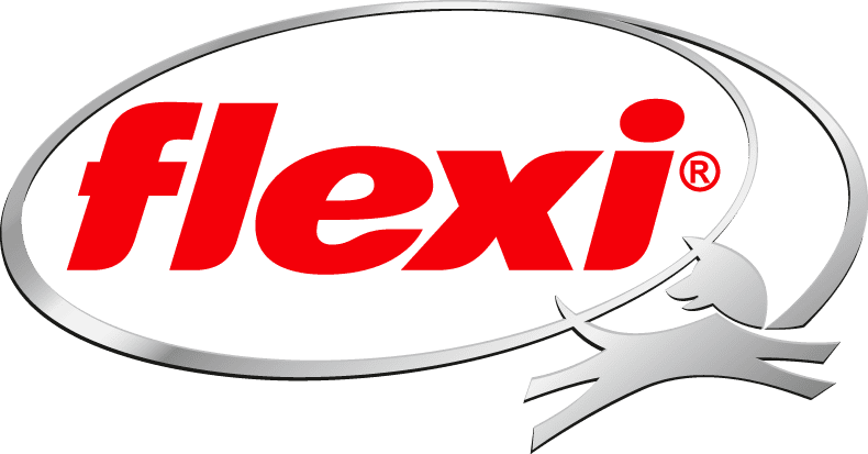 Logo Flexi