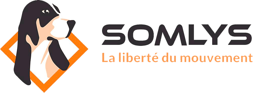Logo Somlys