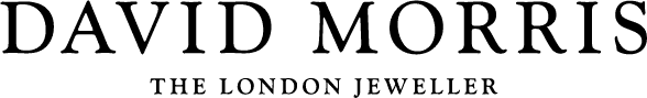 Logo David Morris