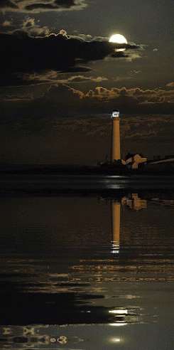 9735435a658d26ef8ed82c57f0f386fa.gif
