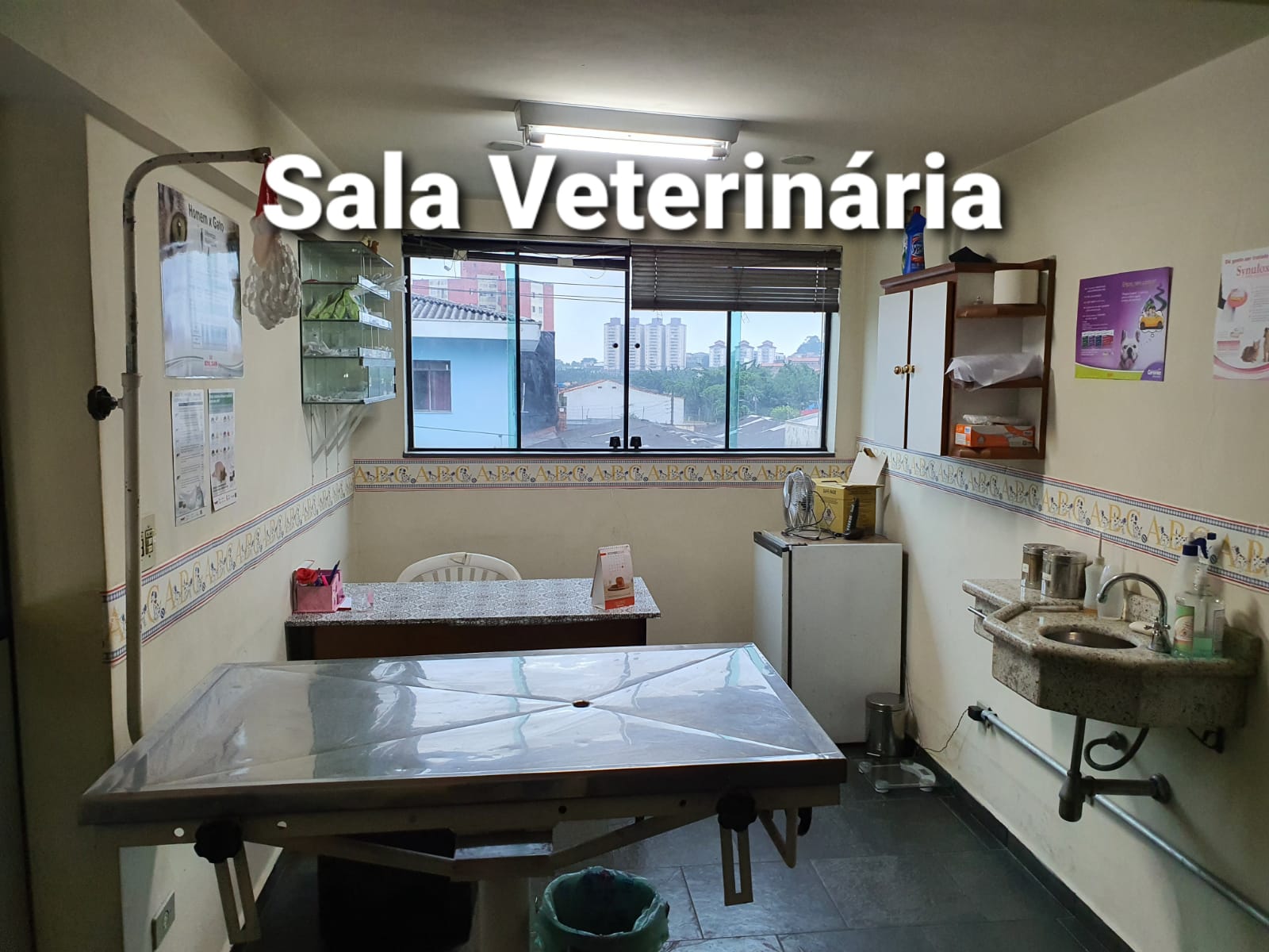 SalaVete.jpg