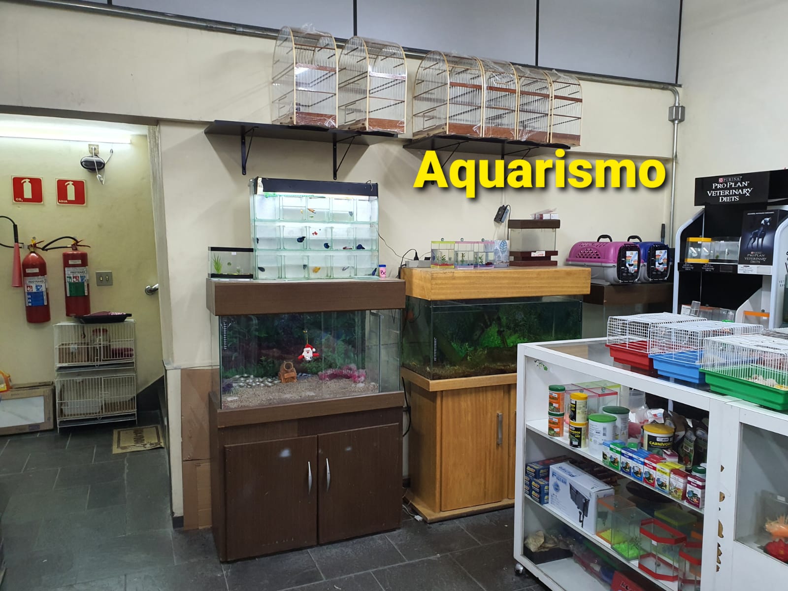 SeçãoAqu.jpg
