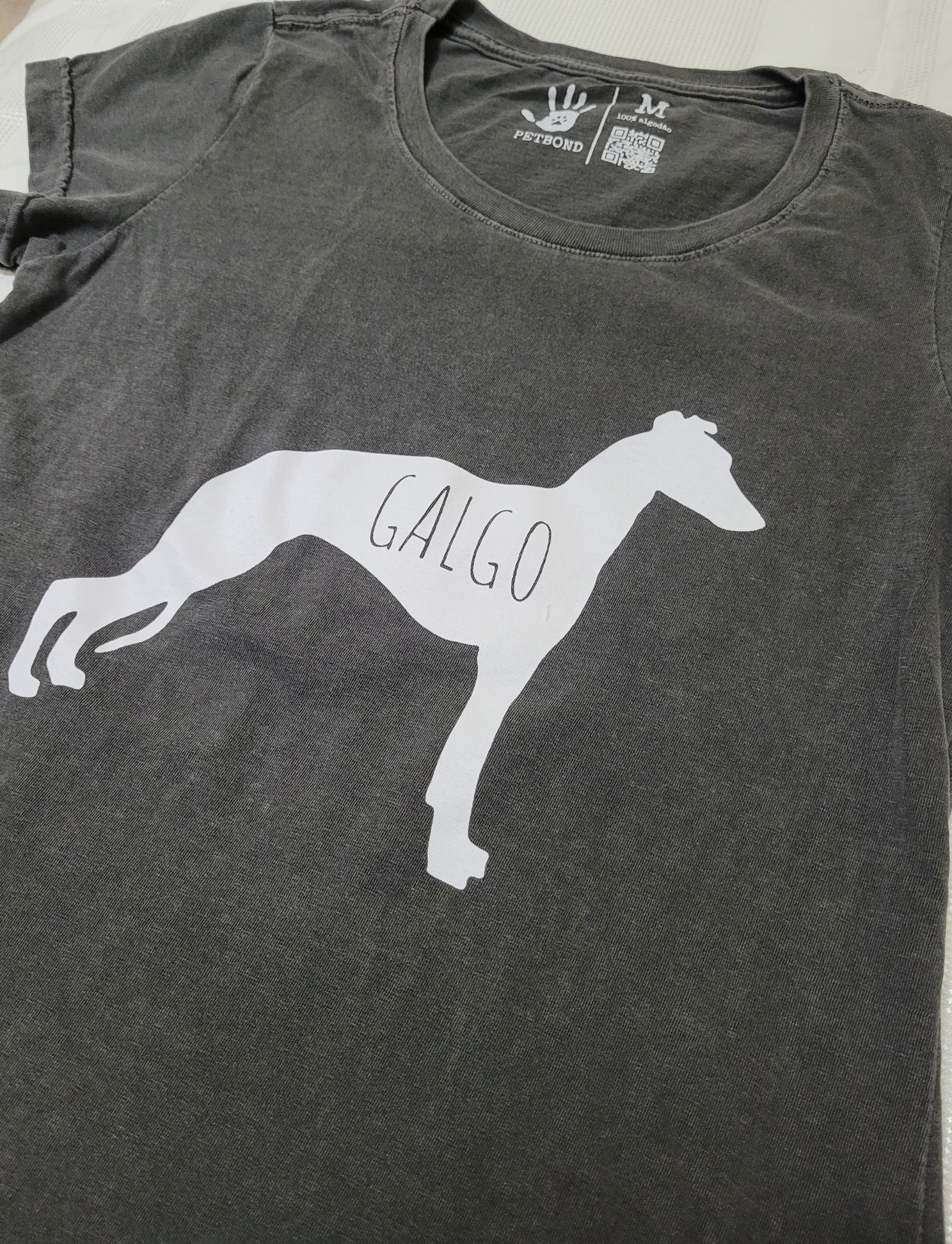 galgo1.jpg