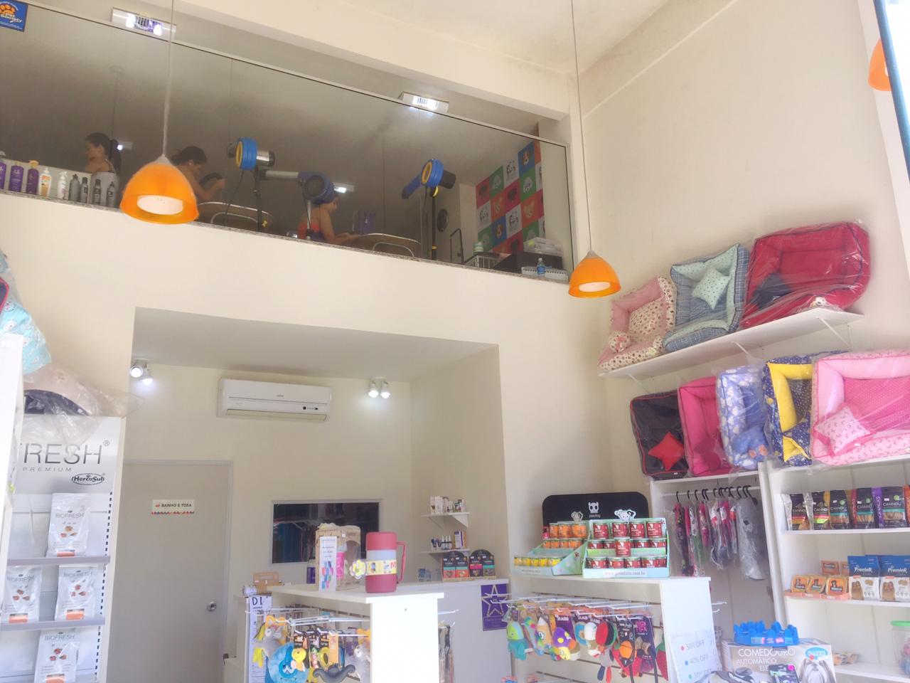 WhatsApp_Image_2019-03-16_at_16.07.00.jpeg