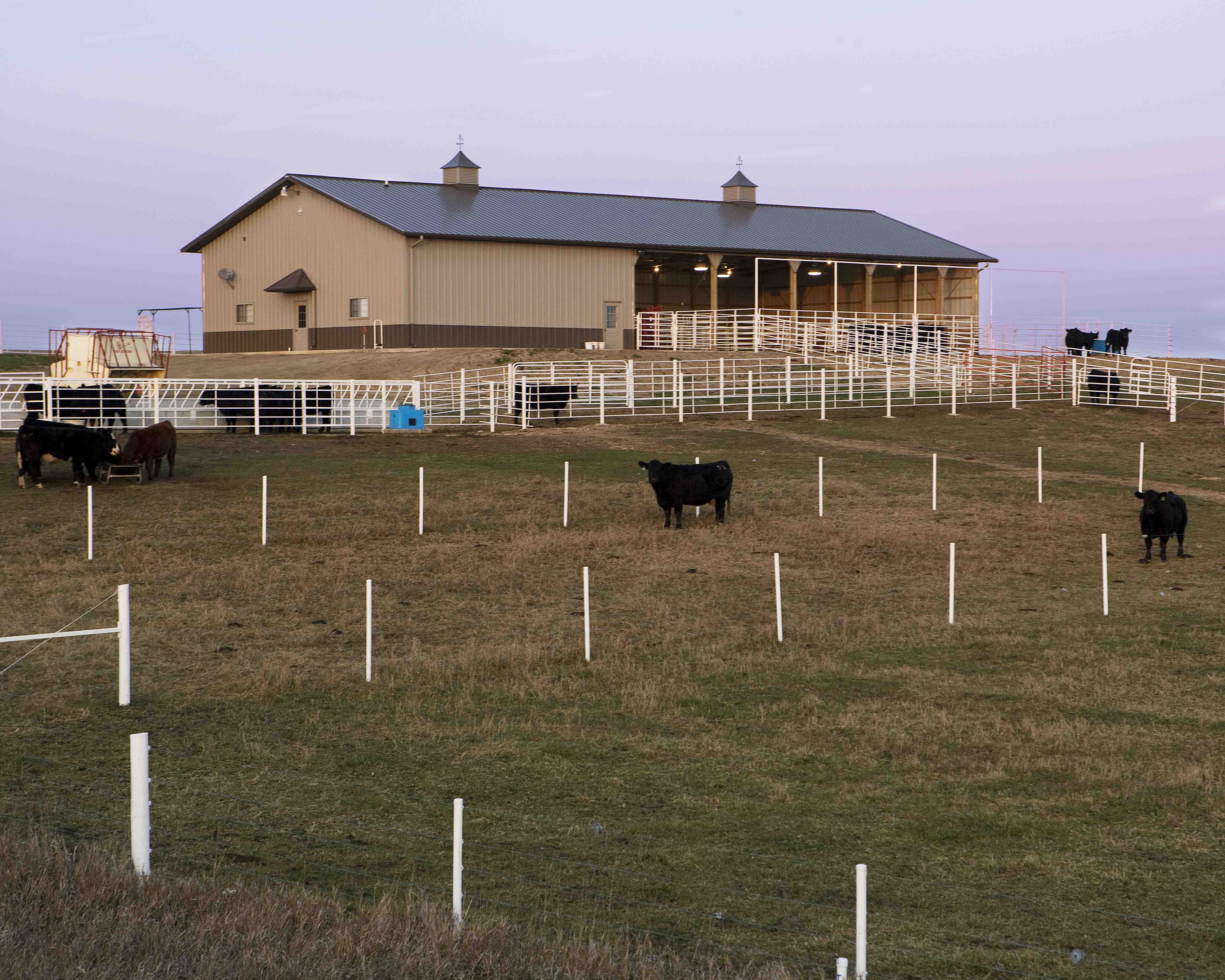 Smith Cattle's Livestock Facility