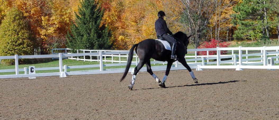Footing First Outdoor Arena 2