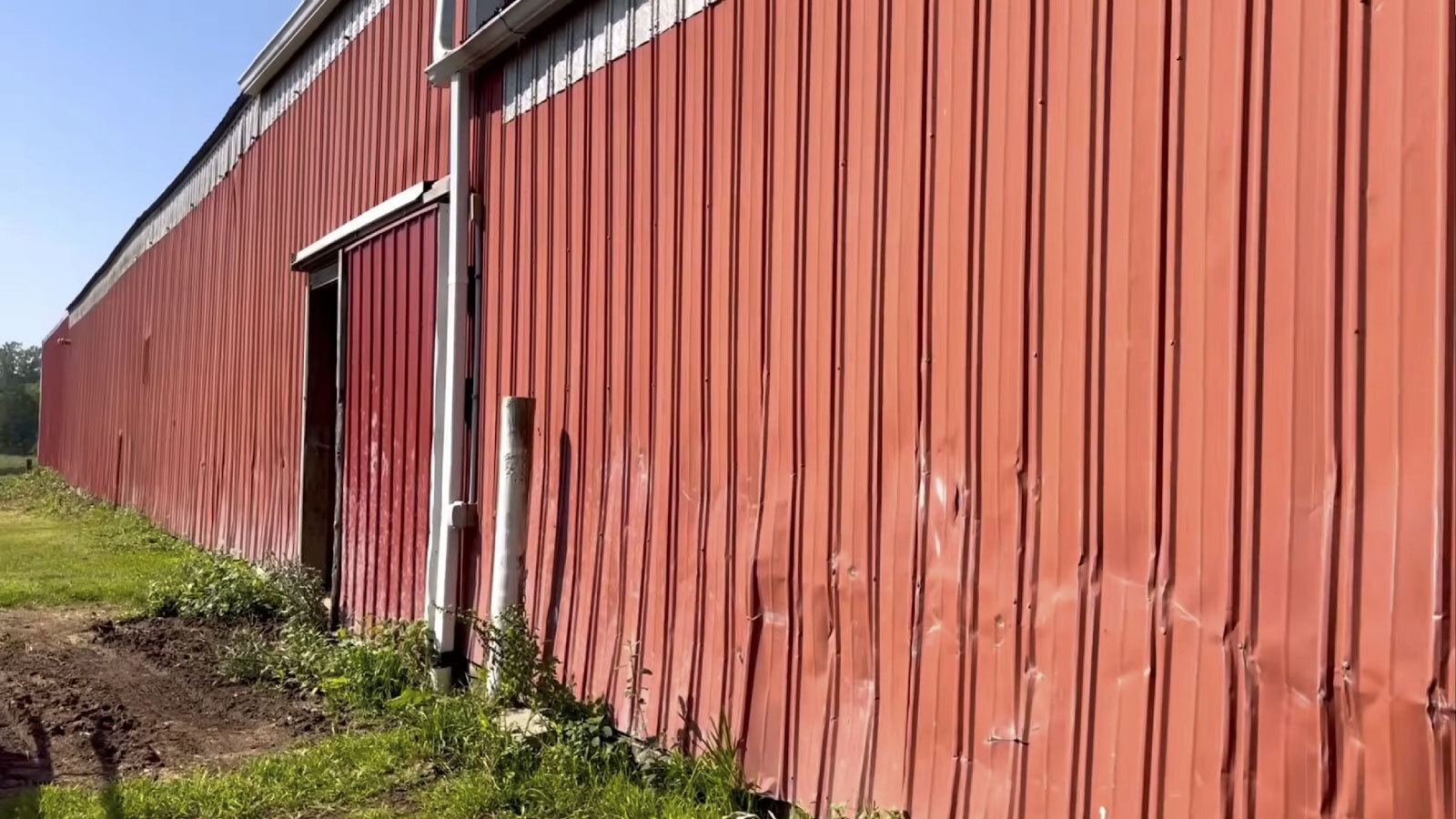 Before Image