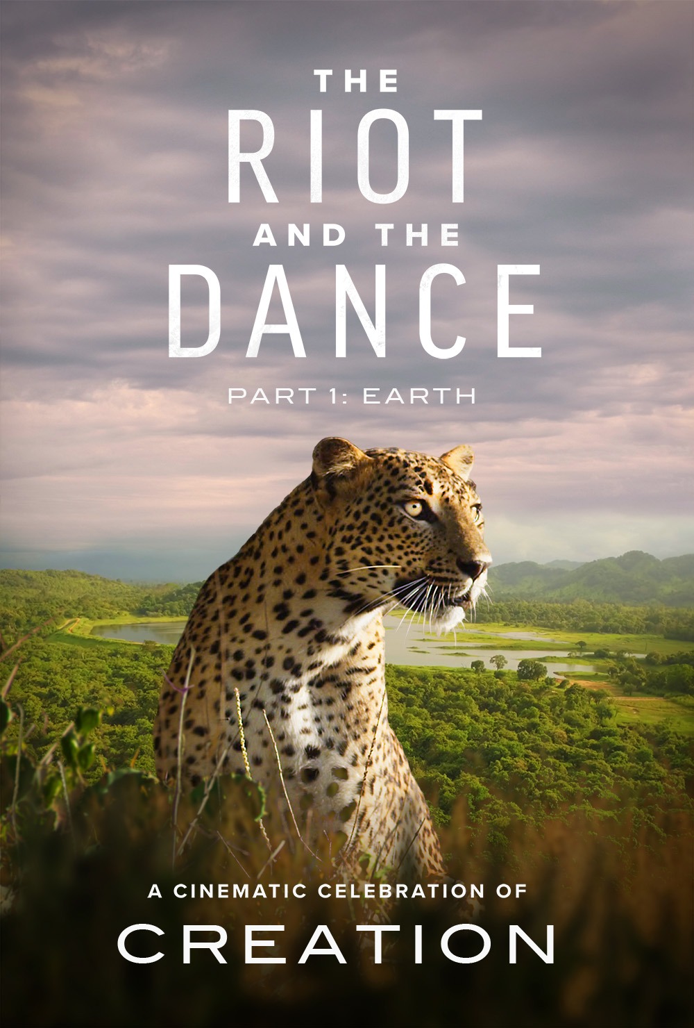 The Riot And The Dance
