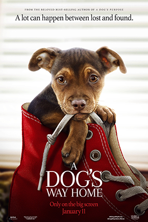 A DOG's WAY HOME-RMN