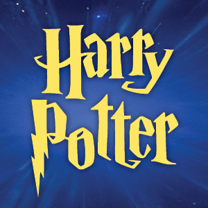 Harry Potter Series 2025