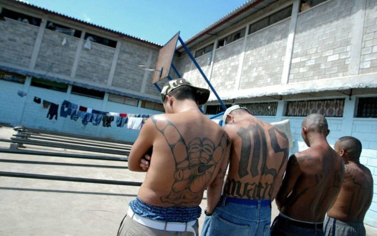 Noticia: El Salvador sentencia a más de 200 y 300 años de cárcel a pandilleros El Salvador sentencia a más de 200 y 300 años de cárcel a pandilleros