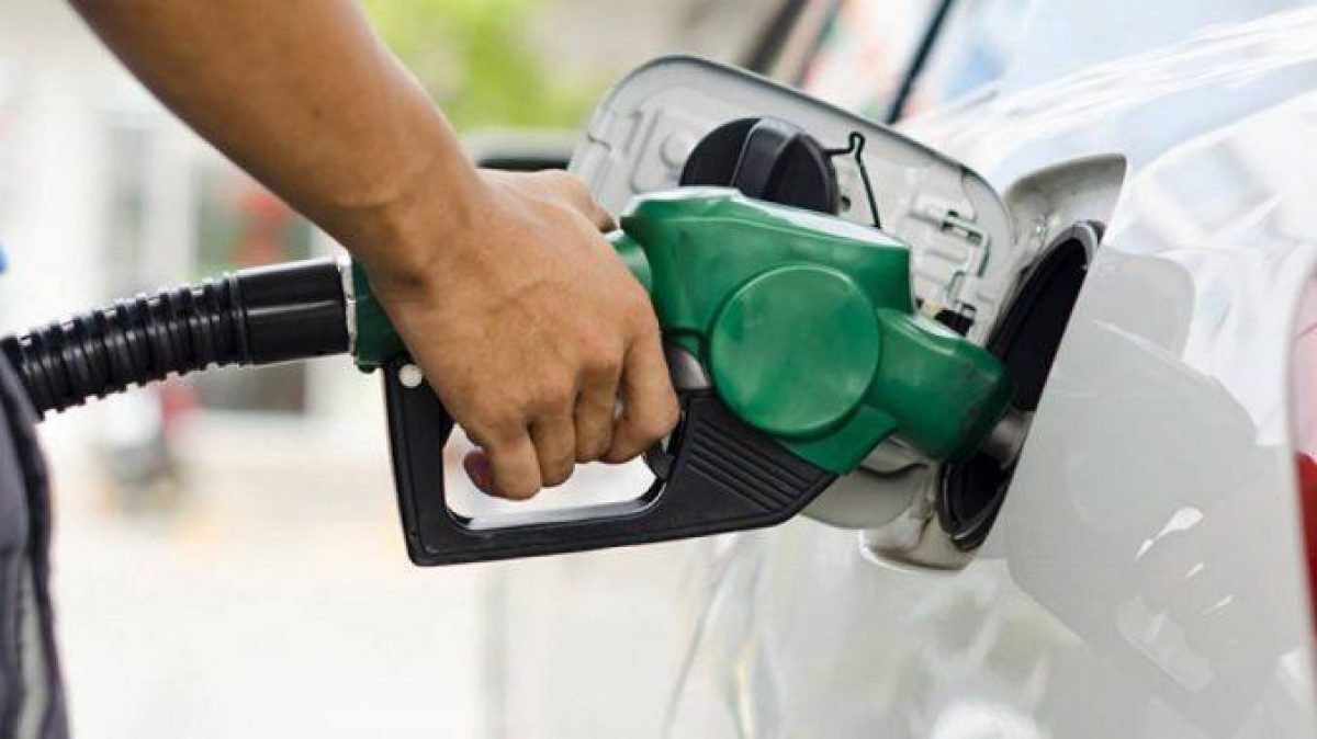 Noticia: Presidente Lasso elimina subsidios de diésel para el sector camaronero Presidente Lasso elimina subsidios de diésel para el sector camaronero