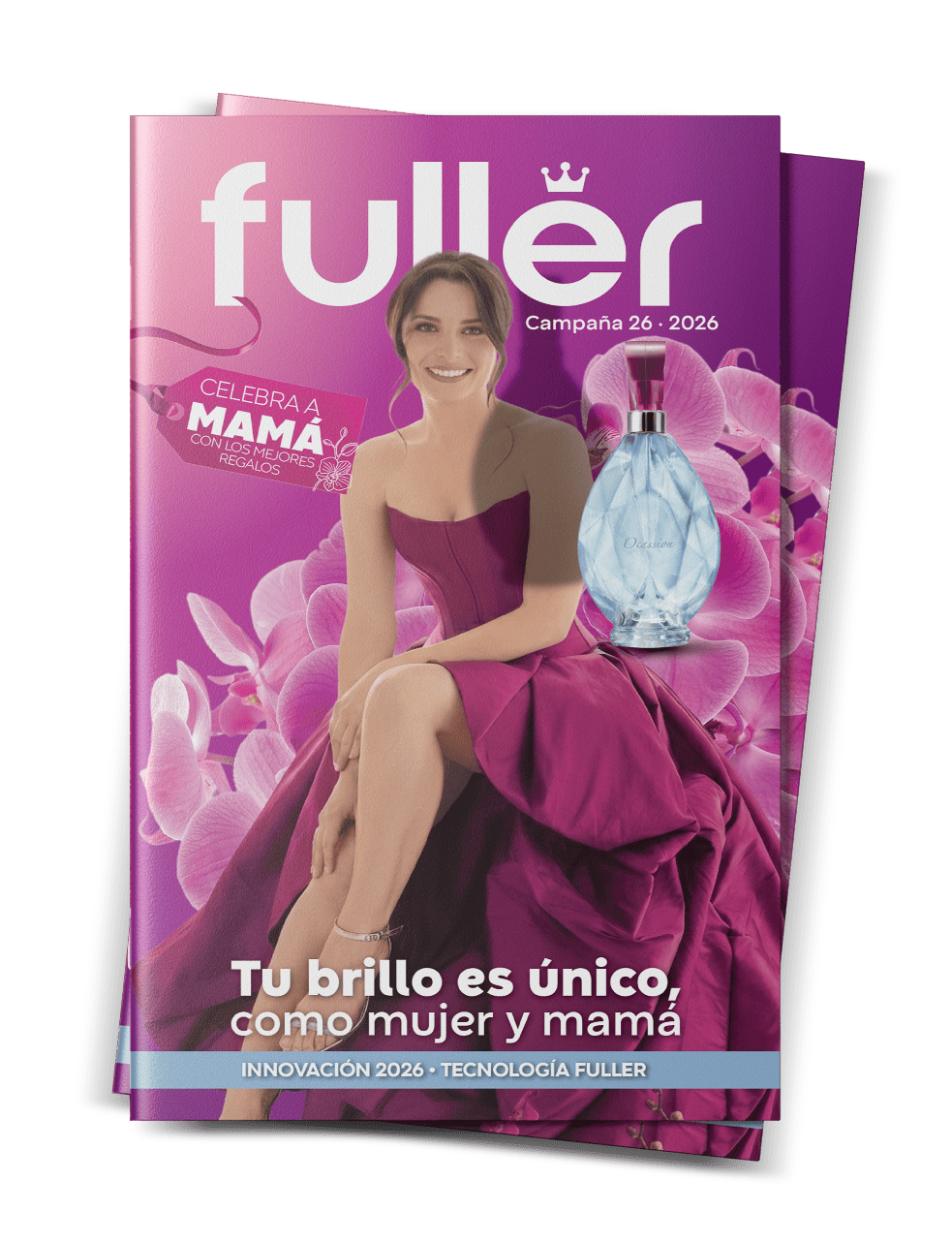 Folletos Campaña 26