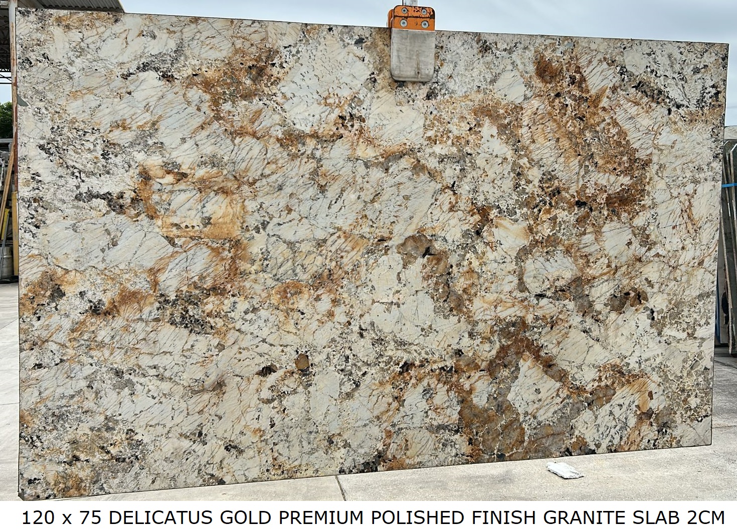 DELICATUS GOLD PREMIUM POLISHED FINISH GRANITE SLAB 2CM Beige