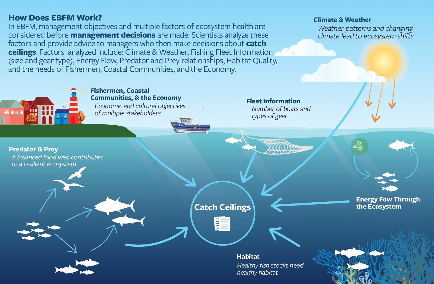 How-does-EBFM-work.jpg#asset:18351 How-does-EBFM-work.jpg#asset:18351