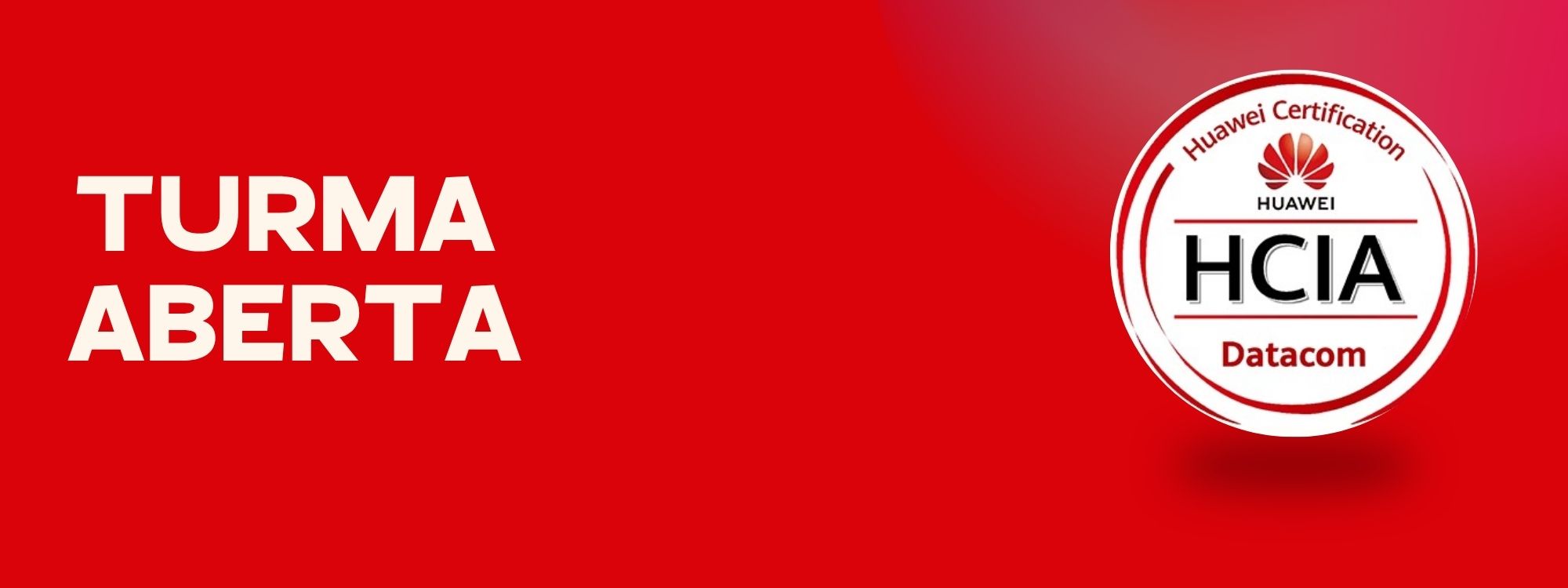 <span style='color: #ffffff;'>HCIA - Datacom</span>