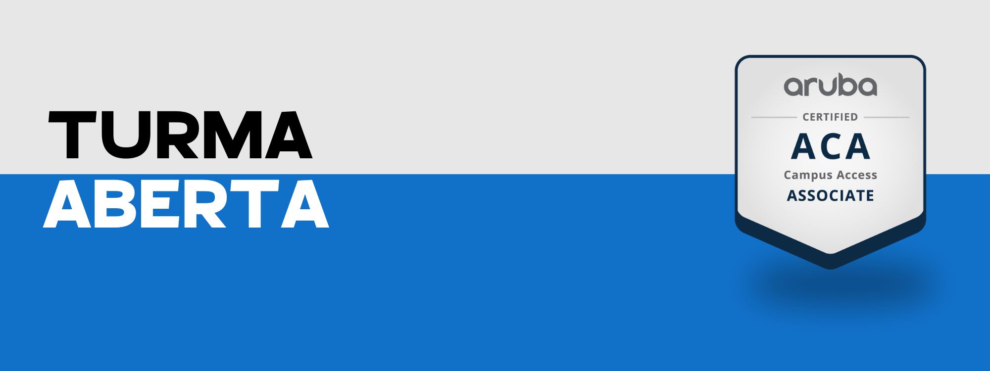 <span style='color: #ffffff;'>Aruba Campus Access</span><h5>Fundamentals</h5>